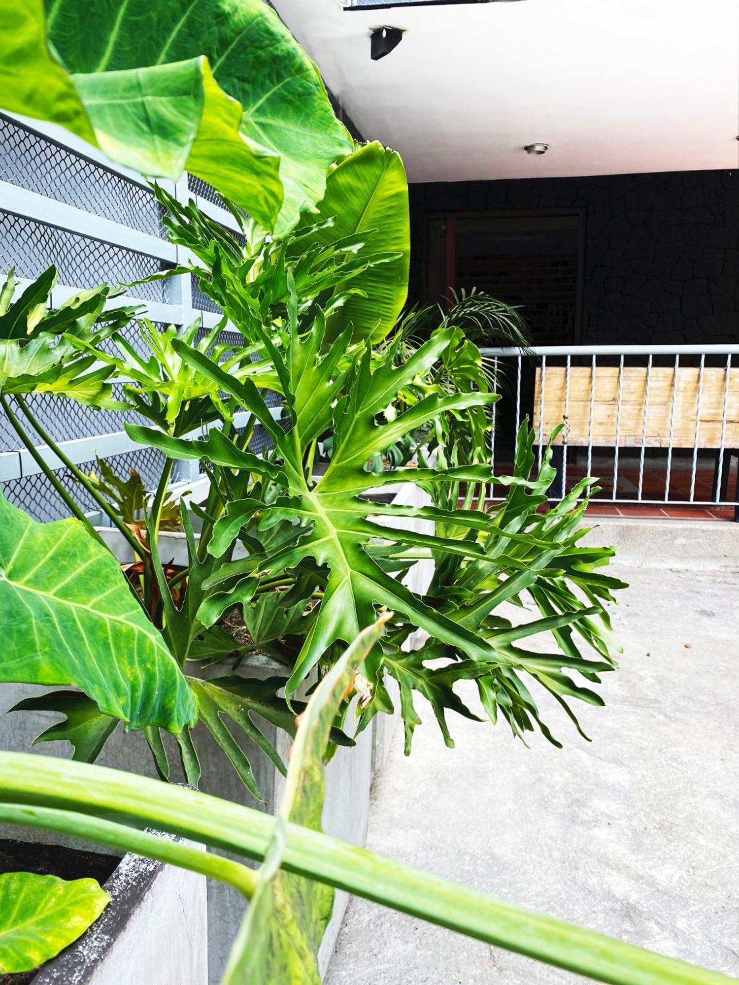 Ayenda 1224 Pixel House (Adults Only) Hotel Medellin Luaran gambar